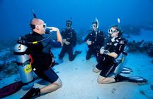 Scuba Diving Tour From Alanya - Side - Antalya