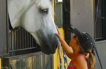Carthusian Stud private – Yeguada de la Cartuja