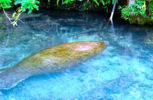 “Mermaids & Mediterranean Magic: Tarpon Springs & Weeki Wachee”