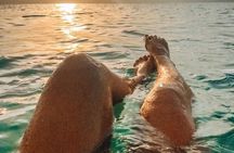 Private 5-Day Jordan Tour: Mount Nebo, Petra, Wadi Rum & Dead Sea
