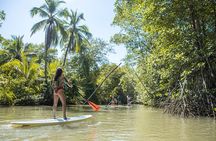Paddle Board Mangrove Tour