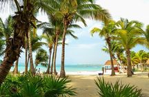 Tortugas & Cenotes Snorkel With Turtles Tour