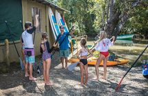 Paddle Board Mangrove Tour