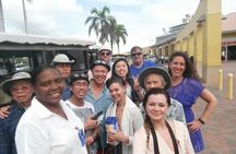 St Thomas Private and Customized Sightseeing Tour
