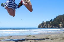 Half-Day Private Tour of Alcatraz , Muir Woods & Sausalito 