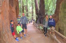Half-Day Private Tour of Alcatraz , Muir Woods & Sausalito 