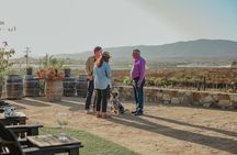 Xecue Wine Tasting in the Guadalupe Valley