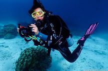 Open water scuba certifiication course with beach dives 