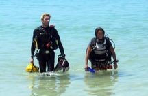 Open water scuba certifiication course with beach dives 