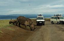 6 Days Maasai Mara - Nakuru - Amboseli budget group safari.