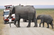 2 Days Amboseli Getaway Trip
