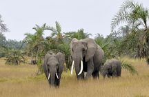 2 Days Amboseli Getaway Trip
