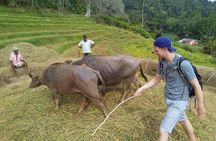 Knuckles Spice Trail Trek from Kandy