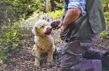 Luck and Patience: truffle hunting in Tuscany