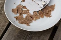 Luck and Patience: truffle hunting in Tuscany