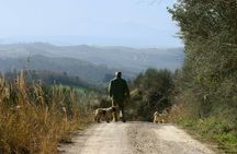 Luck and Patience: truffle hunting in Tuscany