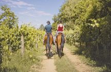 Horseback Riding Tour with Tuscan Picnic in Val d'Orcia and Valdichiana