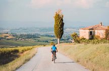 3-Hour Bike Tour and Wine in Tuscany: Nobile's Path