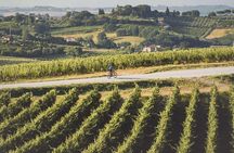 3-Hour Bike Tour and Wine in Tuscany: Nobile's Path