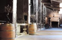 Chateau du Taillan and Park including Wine Tasting Tour