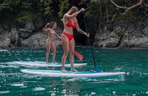 Coastline Paddle Board Tour