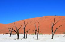 2 Days Sossusvlei Private Camping Tour
