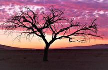 2 Days Sossusvlei Private Camping Tour