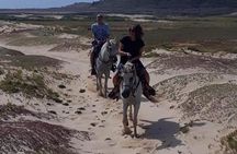 Aruba Countryside: Horseback Adventure to Urirama Cove
