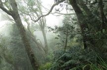 Skeleton Gorge to Table Mountain summit