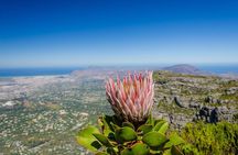 Skeleton Gorge to Table Mountain summit