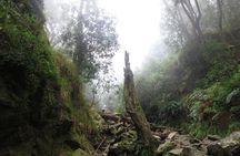 Skeleton Gorge to Table Mountain summit
