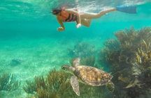 Puerto Morelos Reef Snorkeling Tour with Lunch & Hotel Pickup
