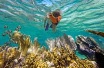 Puerto Morelos Reef Snorkeling Tour with Lunch & Hotel Pickup