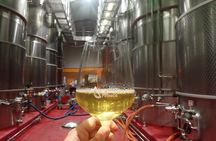 Visit and wine tasting with sausage and BODEGA PIRINEOS cheese