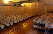 Visit and wine tasting with sausage and BODEGA PIRINEOS cheese