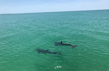Yacht Charter Madeira beach and Tampa Bay
