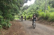 'Discover' Rarotonga Cycling Tour with Lunch