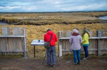 King Penguin Nature Reserve - Tierra del Fuego Island