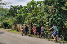 'Discover' Rarotonga Cycling Tour with Lunch