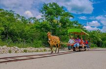 Cuzama Cenotes Adventure Day Trip