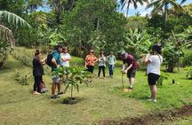 'Explore' Rarotonga Guided Bike Tour with Lunch and Swim