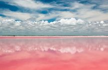 Tour to Las Coloradas Pink Waters and Boat Ride in Rio Lagartos with Lunch.