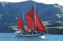 Sailing and Wildlife Tour Akaroa Fox II Sailing