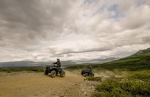 Denali ATV Trailblazer 3.5 Hour Tour 