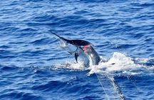 Half Day Afternoon Angler Charter