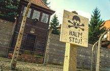 Auschwitz-Birkenau Guided Shared Tour from Krakow