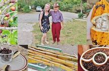 3-in-1 Monteverde Cloud Forest Coffee, Chocolate and Sugar Cane Tour