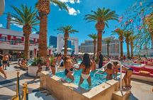 Party Bus Dayclub Crawl
