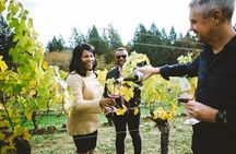 Private wine tour with local Sommelier. 
