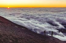 Day Hike to Mount Kilimanjaro (Mandara Hut)